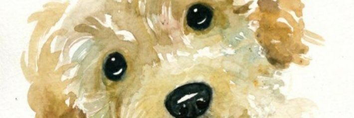 VanesaPantano's profile banner image