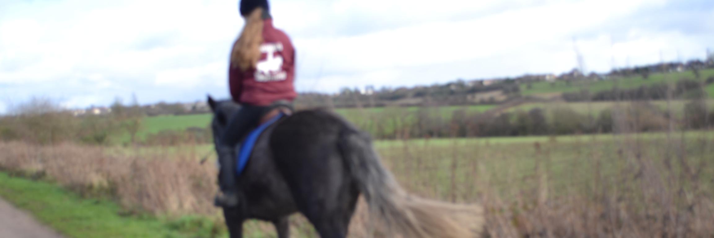ImogenRCB's profile banner image