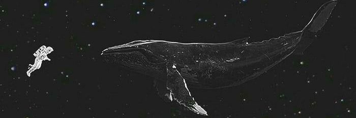 refaat404's profile banner image