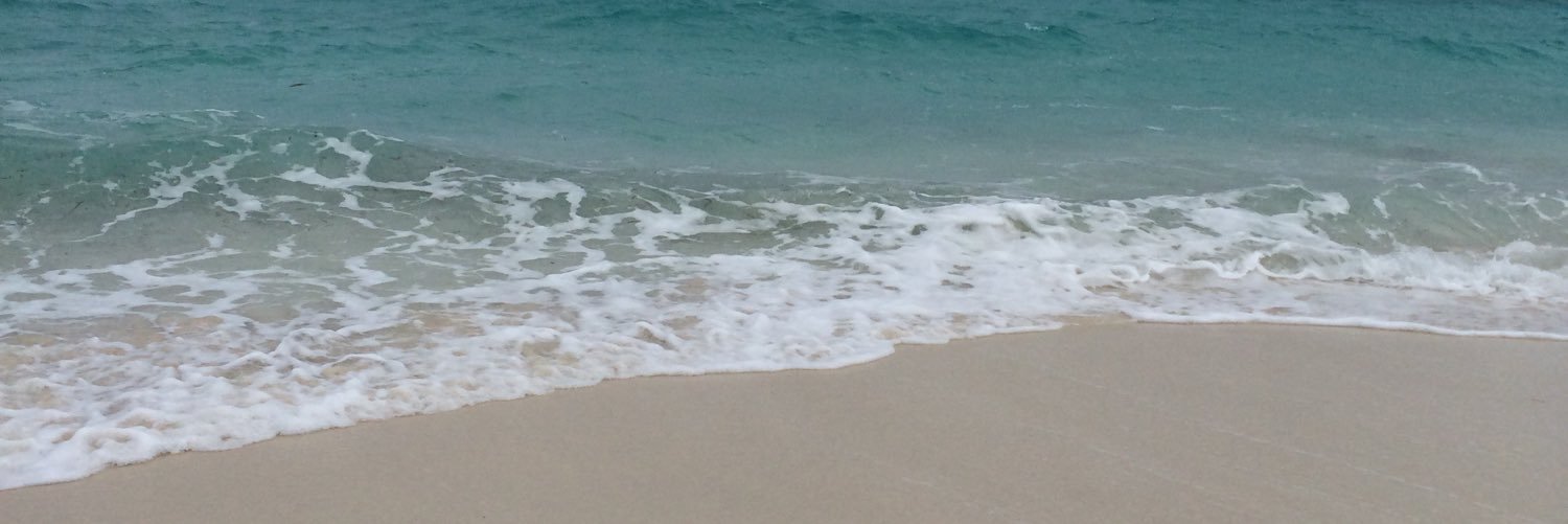 Mrs Orphanos in the LLC banner