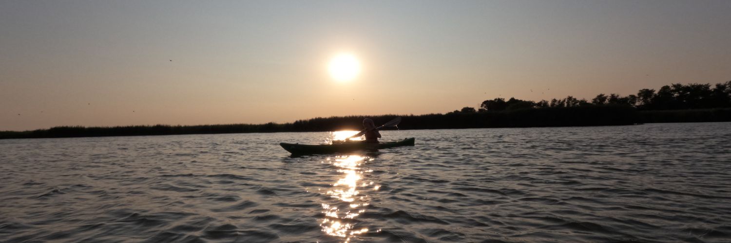 Alessandra Bilardi banner