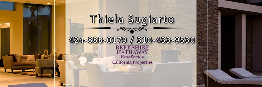 ThielaTheRealtor banner
