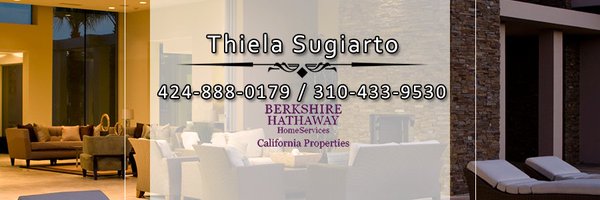 ThielaRealtor Profile Banner