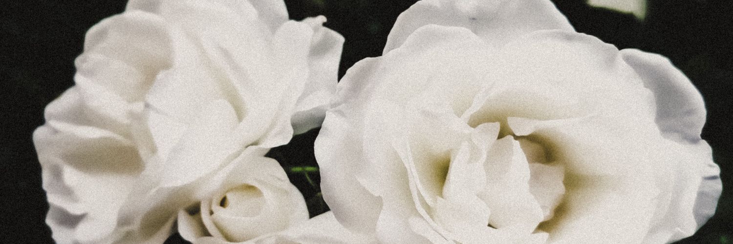 livingdeadboy19's profile banner image