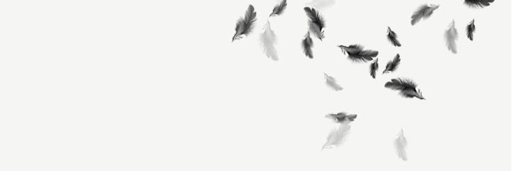 leylatulip's profile banner image