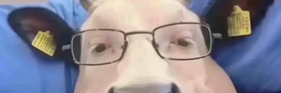 thxdyy's profile banner image