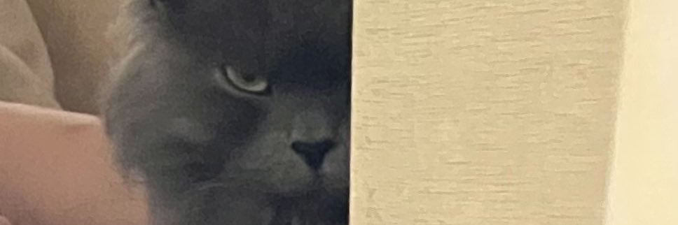 zinguuzims's profile banner image