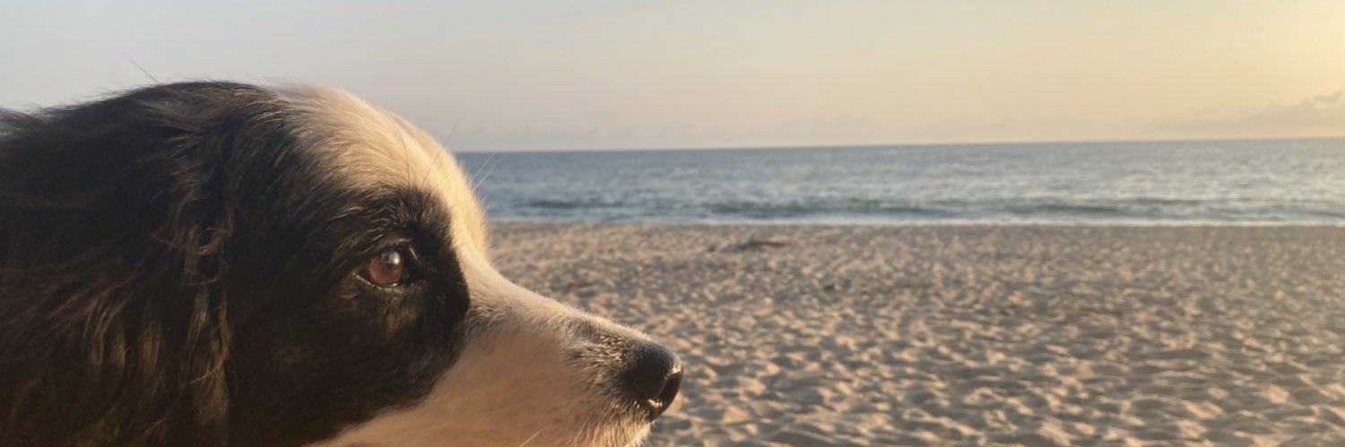 cchavmza's profile banner image