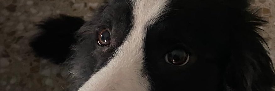 Isaac_erm's profile banner image