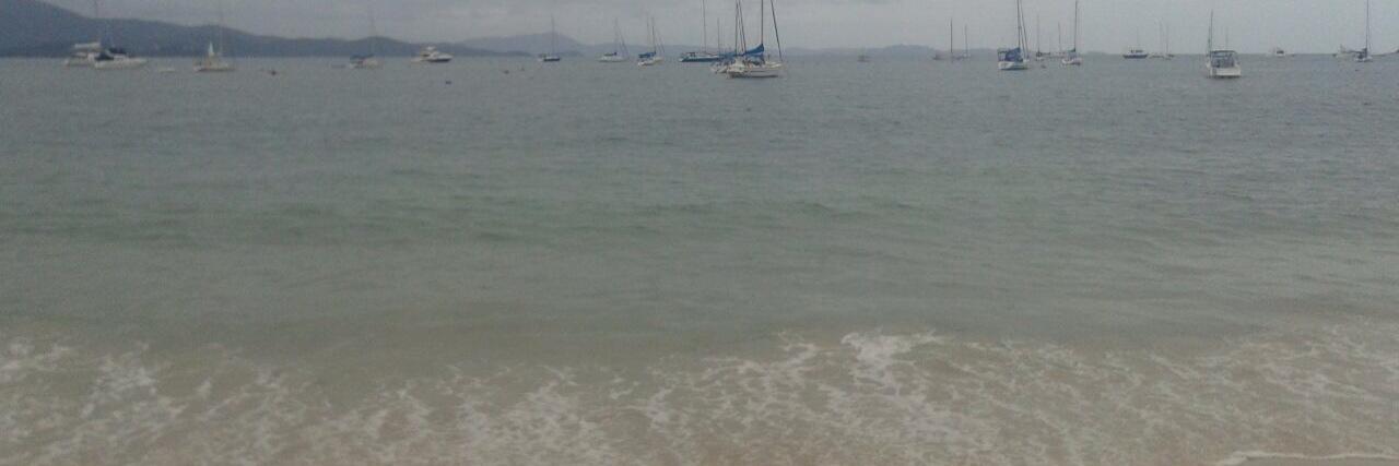 Dani 🇧🇷⚖️ banner