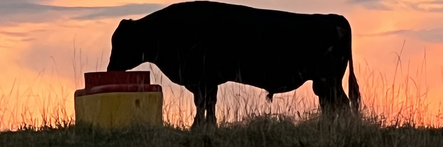 tottvolfan's profile banner image