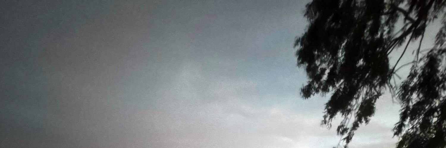 wingman024's profile banner image