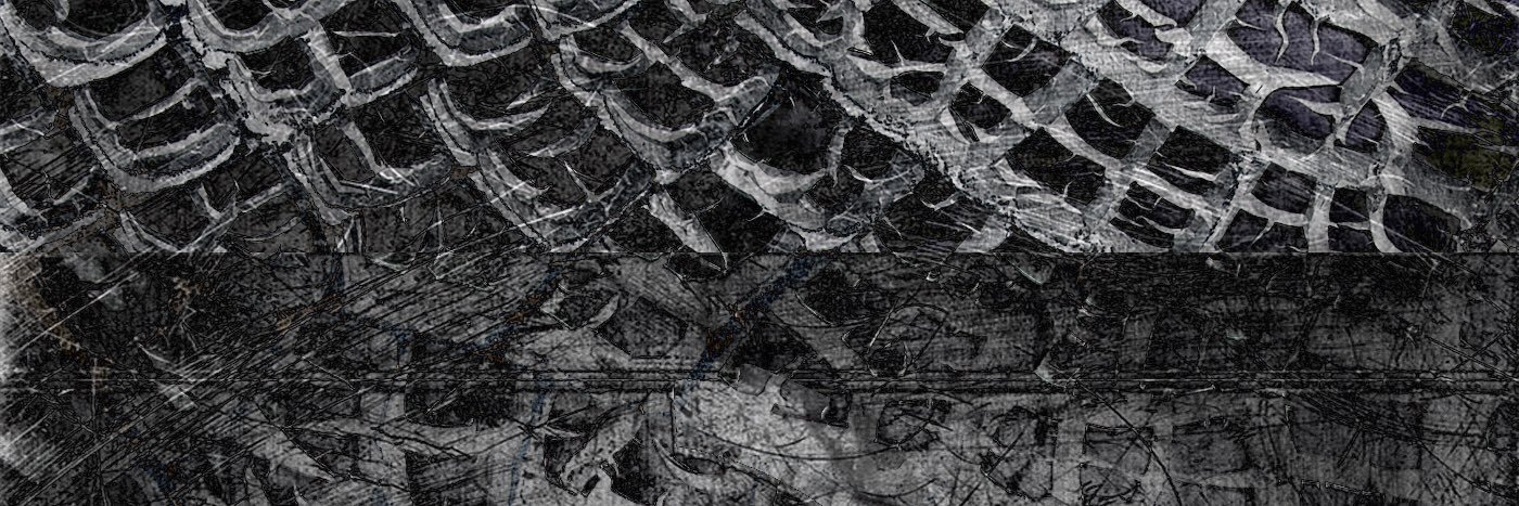 TrackMeetWorld's profile banner image