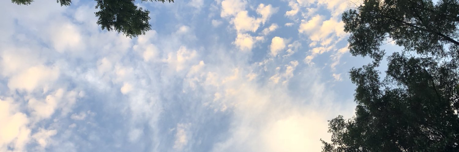 nrider0014's profile banner image