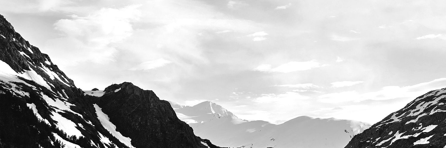 zill's profile banner image