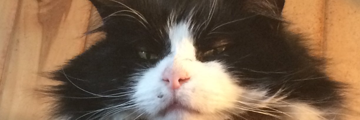 HighlandDude's profile banner image