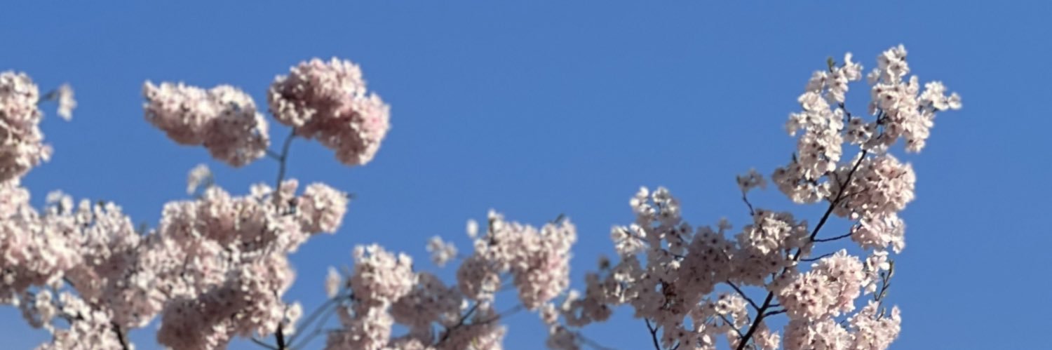 ChristinBaker's profile banner image