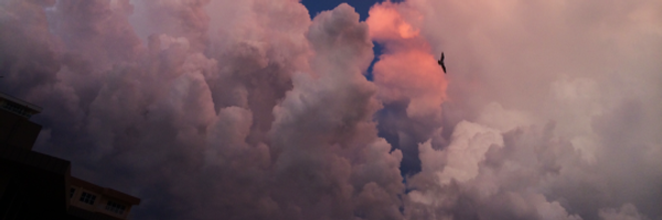 hashveenah_m Profile Banner