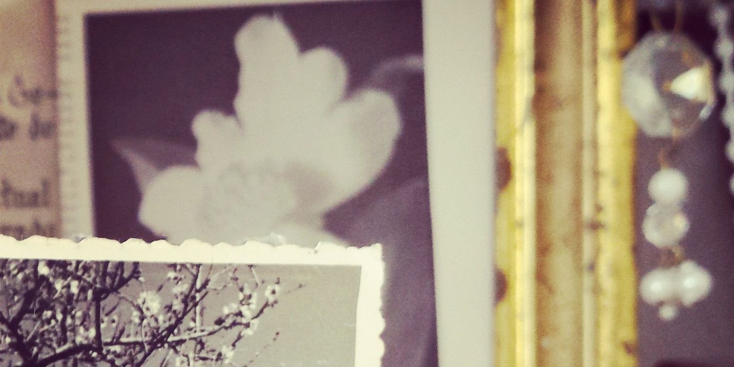 angelaruido's profile banner image