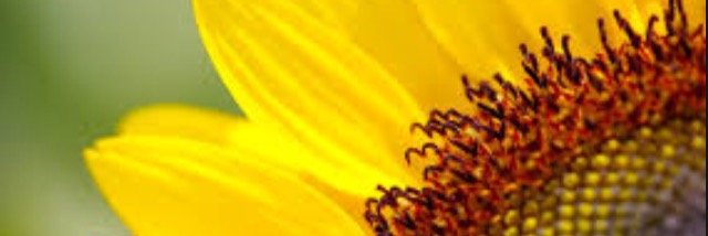 kellieamck's profile banner image