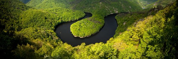 yuralothaire Profile Banner