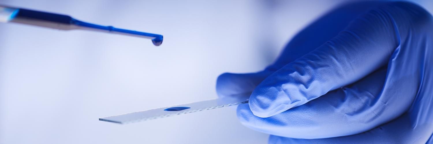 plastilab's profile banner image