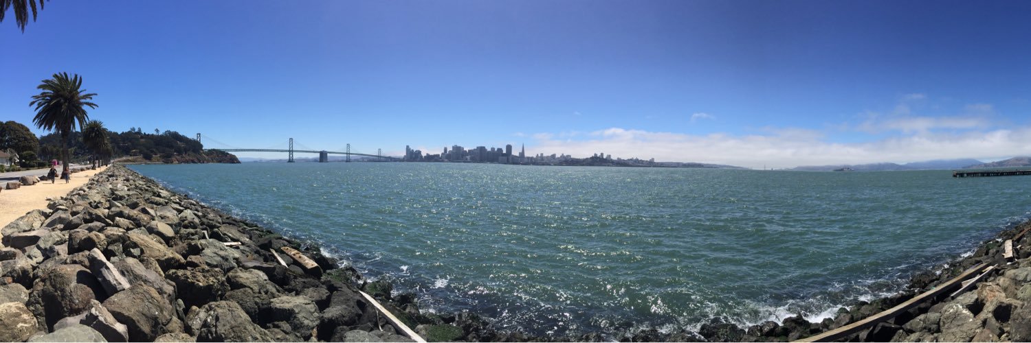 Alissa Anderson banner