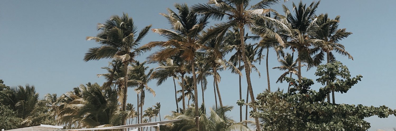 nayibesilverio's profile banner image