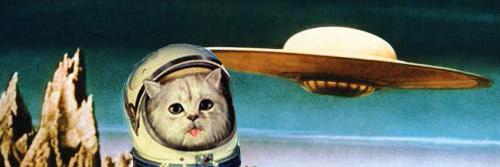 Melstrokes's profile banner image