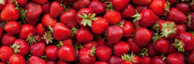 17th_symphony's profile banner image