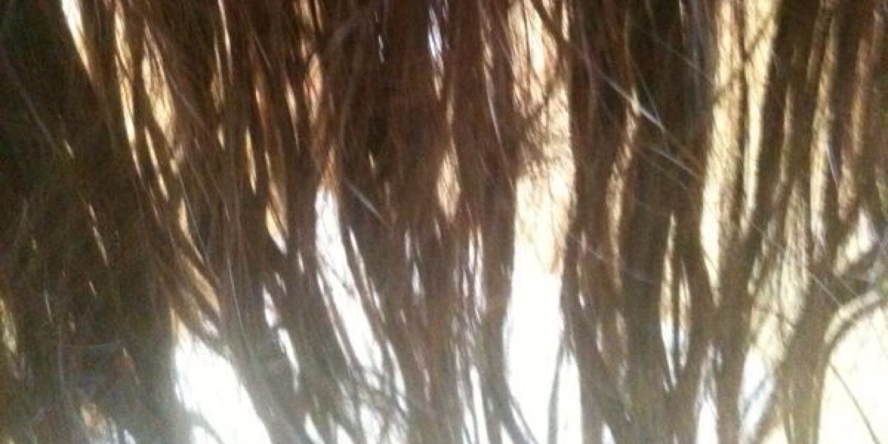 auremaras's profile banner image