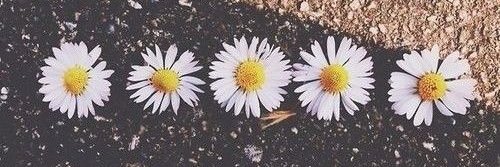 Florencia.💚 banner