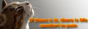 yanmo_2's profile banner image