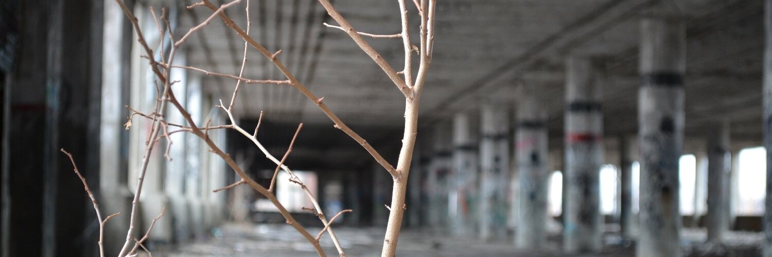 PaisleyPlaceDes's profile banner image