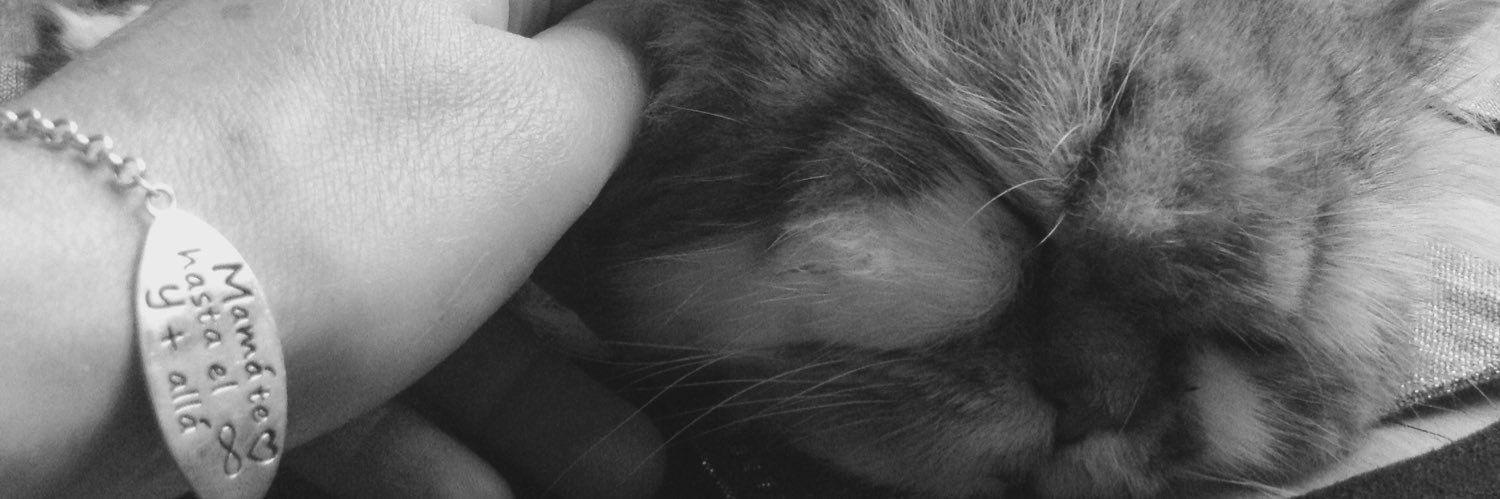 crazycat969's profile banner image
