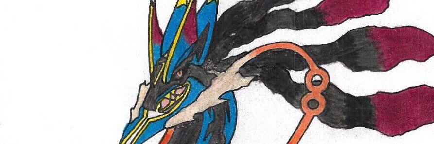 sealidus1996's profile banner image