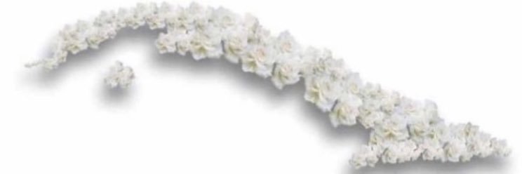 micas0208's profile banner image