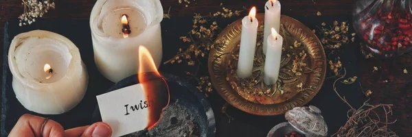 Wolfsheart9's profile banner image