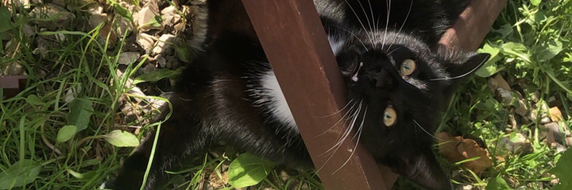 LouisFraser7's profile banner image