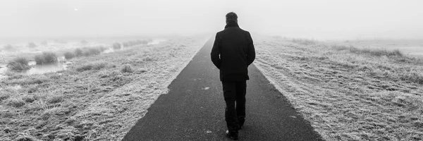 José D. Núñez banner