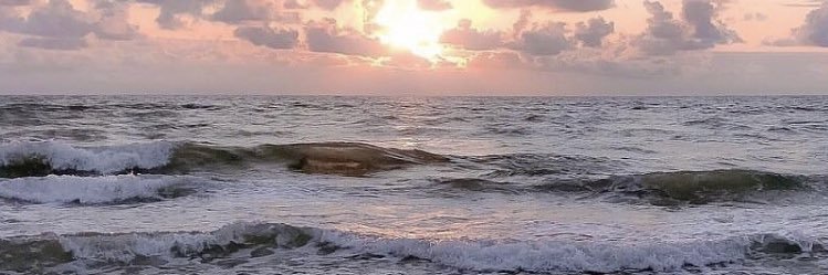 leannepyy's profile banner image