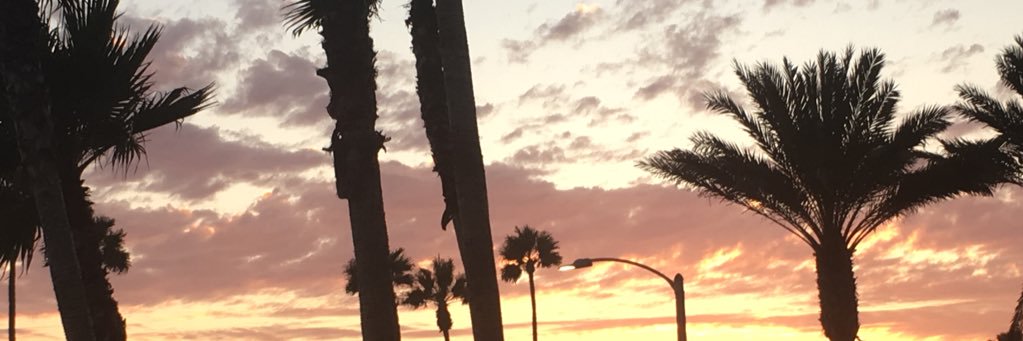 julinabert's profile banner image