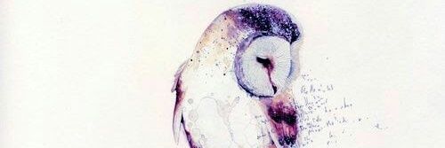Sol_aM_'s profile banner image