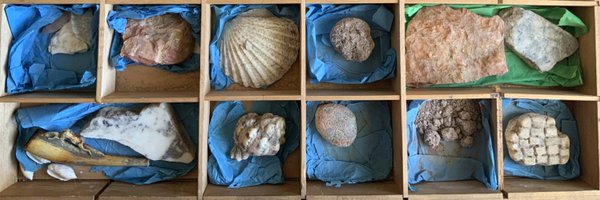 tomasbnbrown Profile Banner