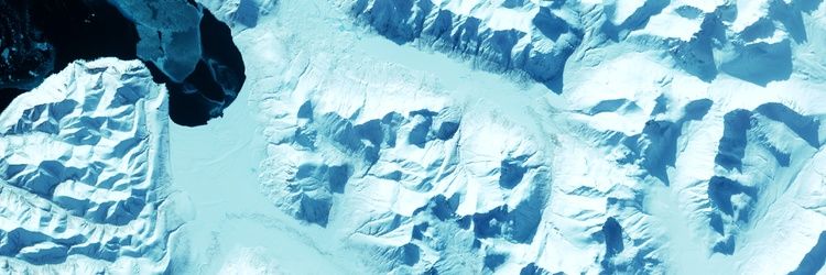 Nelson Bolarg banner