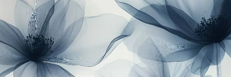 flopynala's profile banner image