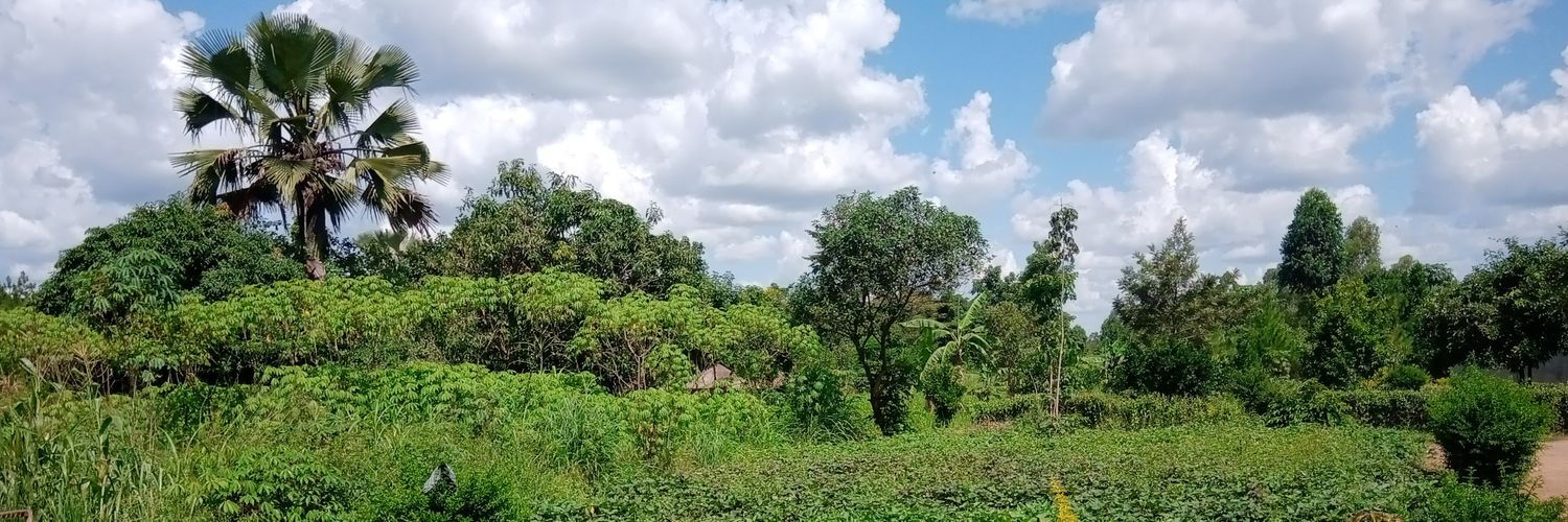 ayokobryan's profile banner image