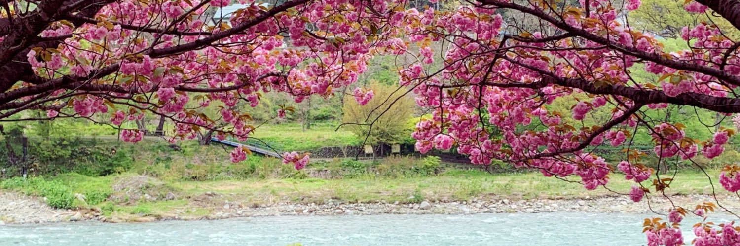 polaV21's profile banner image