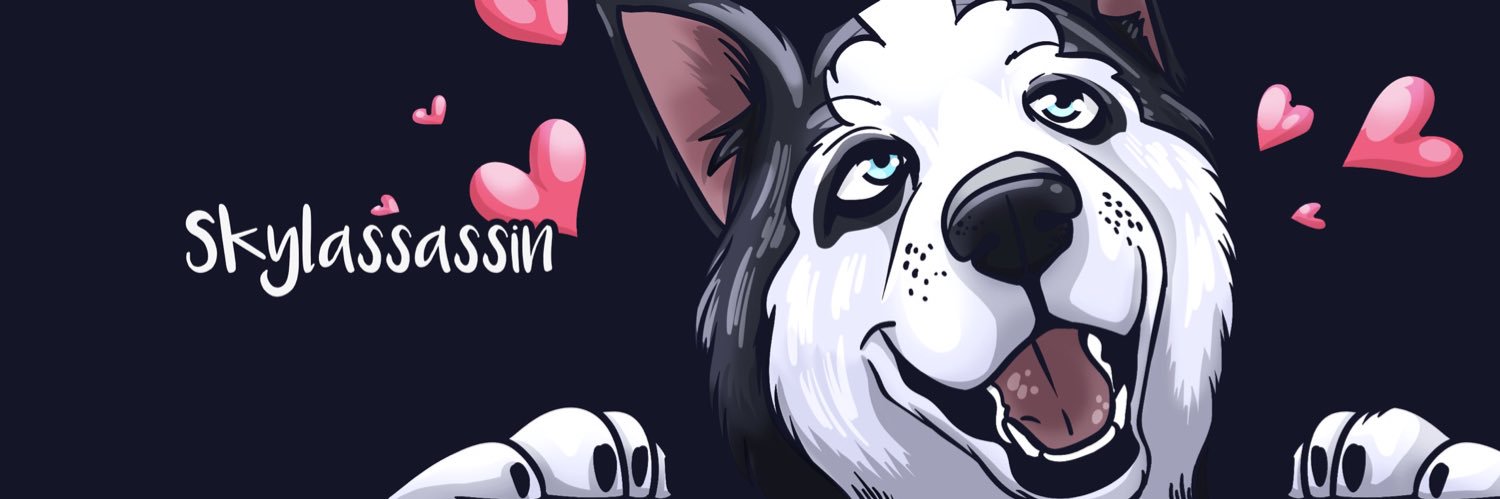 Skylassassin's profile banner image