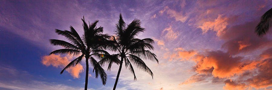 nbux32's profile banner image